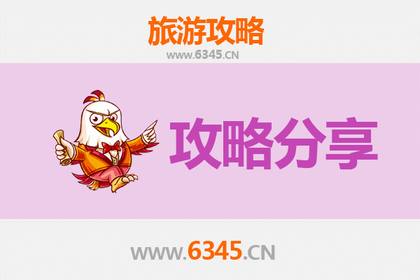 山南加查旅游攻略：跟团与自由行全方位对比